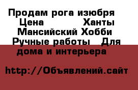 Продам рога изюбря. › Цена ­ 5 000 - Ханты-Мансийский Хобби. Ручные работы » Для дома и интерьера   